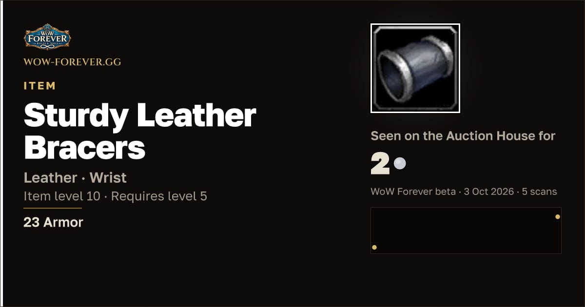 The preview card for Sturdy Leather Bracers