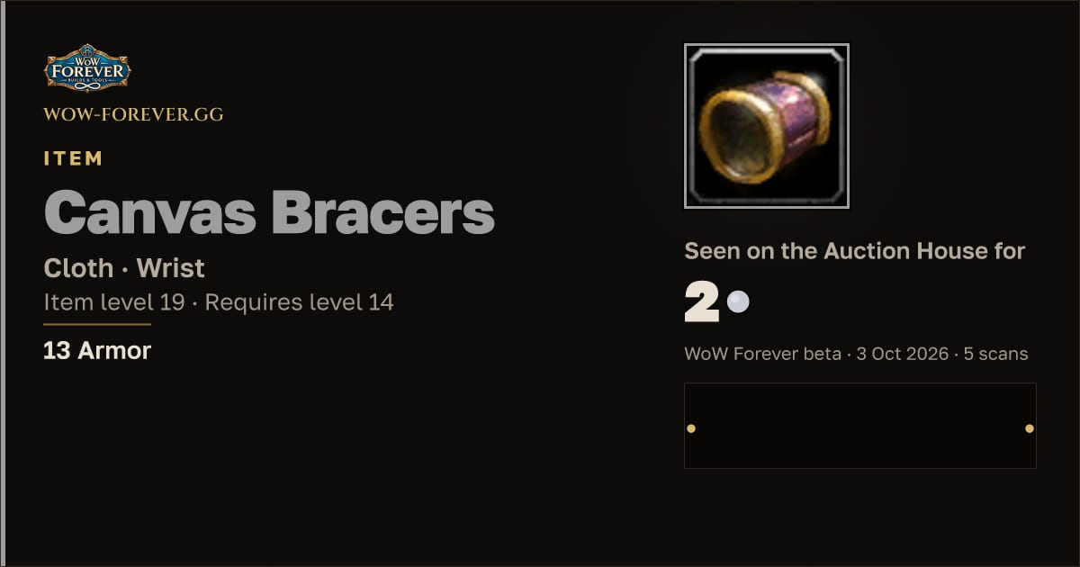 The preview card for Canvas Bracers