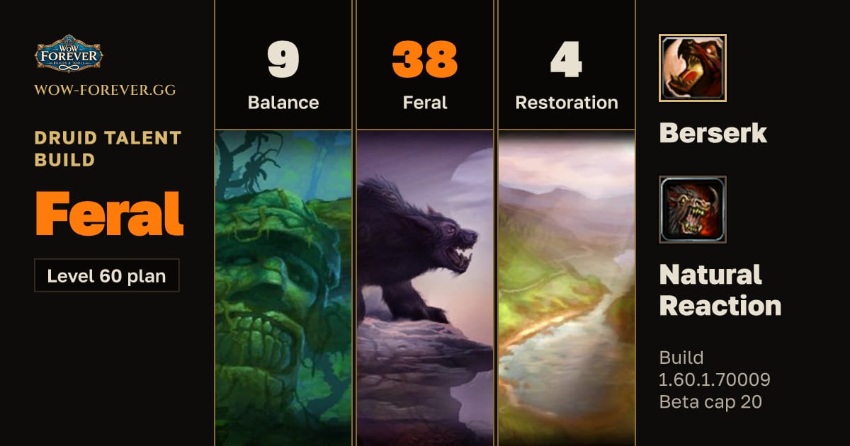 The preview card for Druid 9/38/4 Feral build for WoW Forever