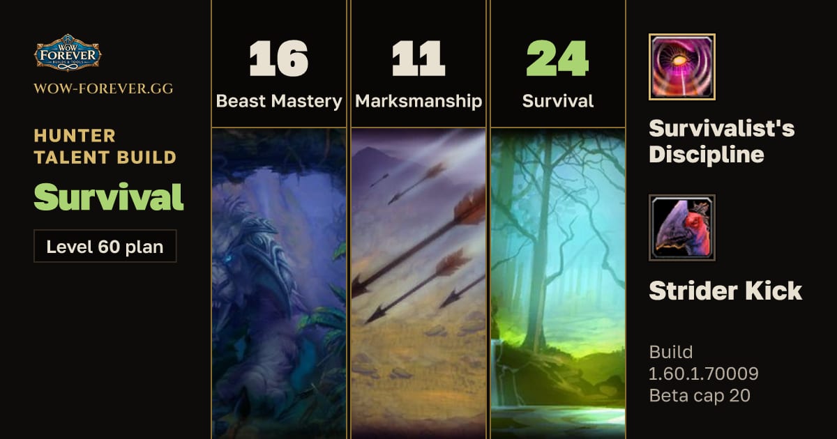 The preview card for Hunter 16/11/24 Survival build for WoW Forever
