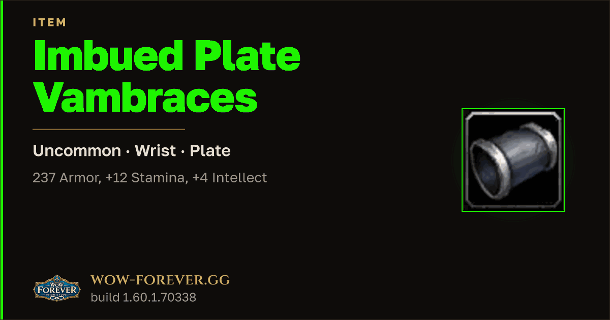 The preview card for Imbued Plate Vambraces