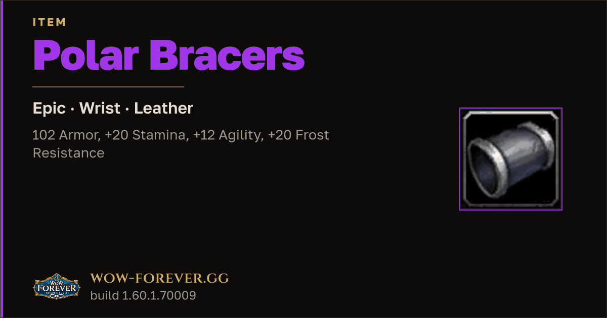 The preview card for Polar Bracers - Epic Leather Wrist, Item Level 80