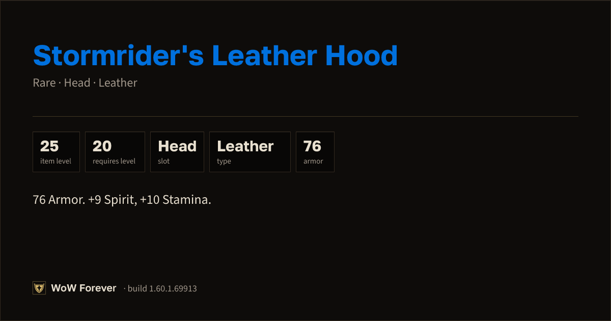The preview card for Stormrider's Leather Hood - Rare Leather Head