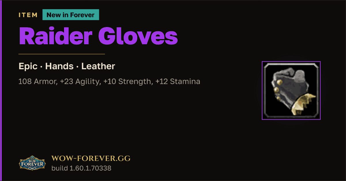The preview card for Raider Gloves